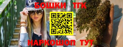 тгк Обь
