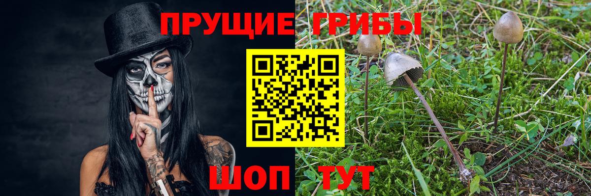 Псилоцибиновые грибы Magic Shrooms Узловая